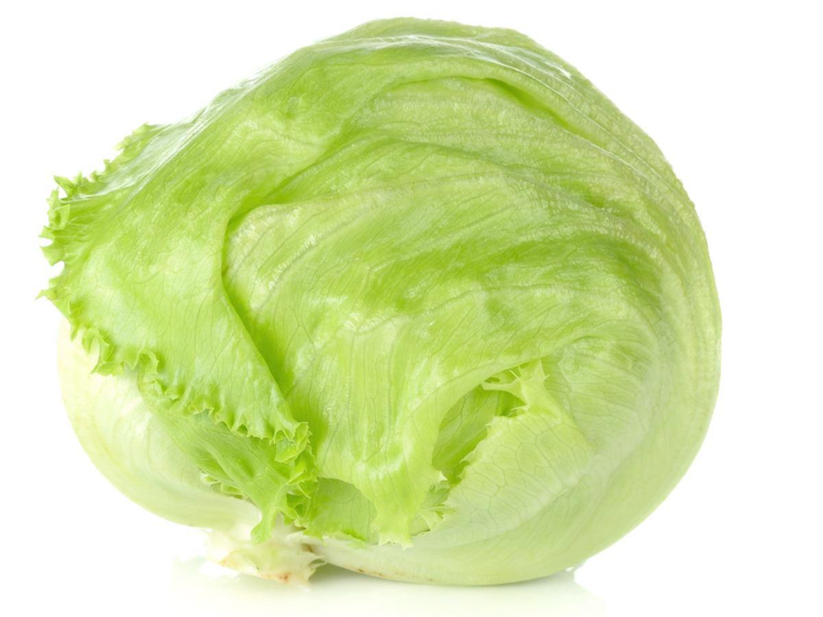 Iceberg Lettuce