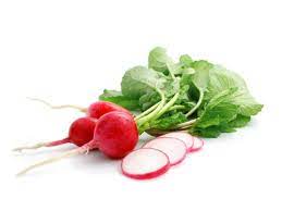 Radish
