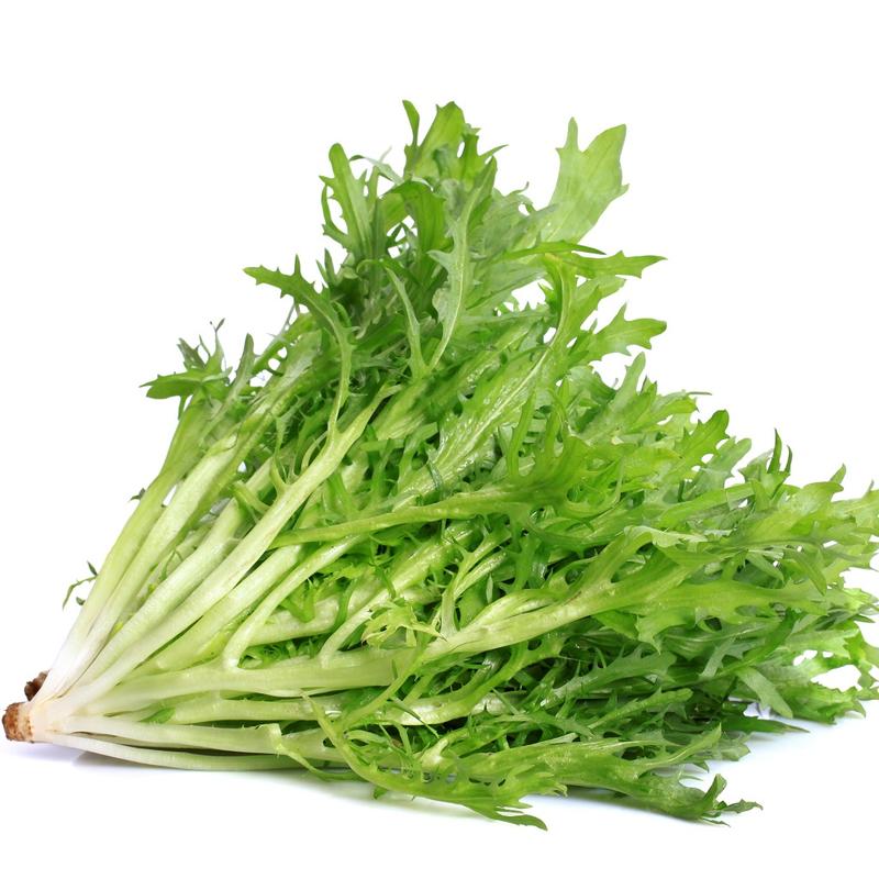 Organic Endive