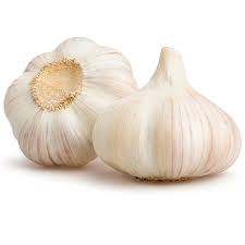 Organic Garlic