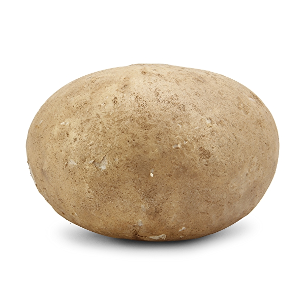 Organic Jicama