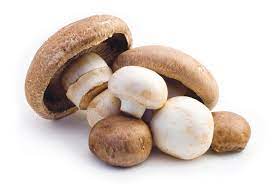 Organic Mushrooms