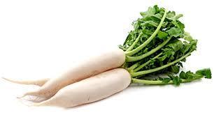 Organic Radish