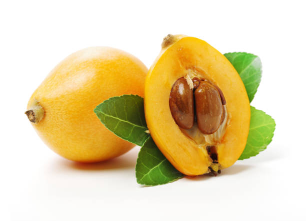 Japanese Plum