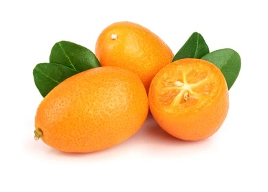 Kumquat