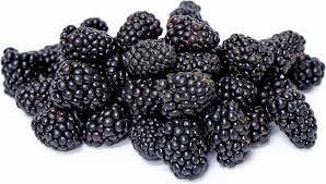 Marionberry