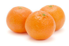 Satsuma