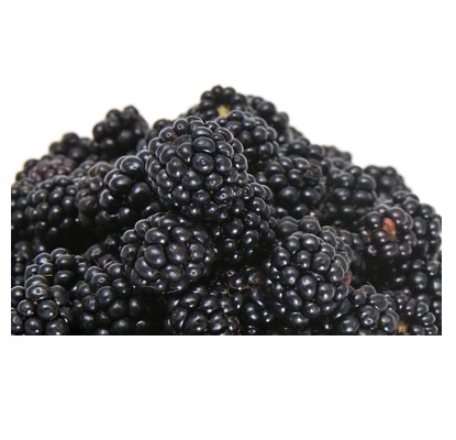 Organic Marionberry