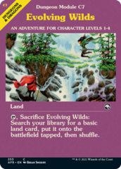 Evolving Wilds - Foil - Dungeon Module