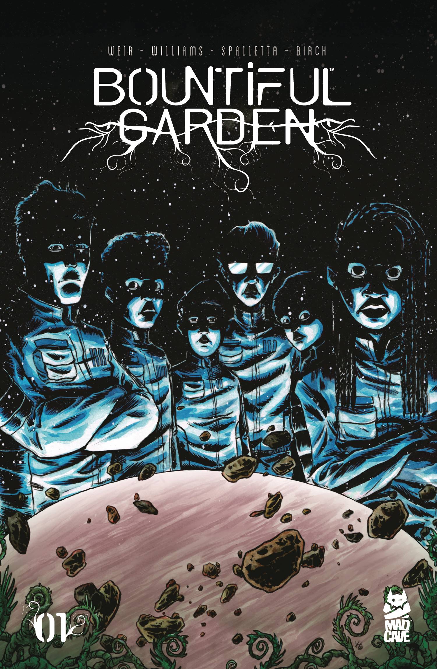 Bountiful Garden #1 (STL197133)