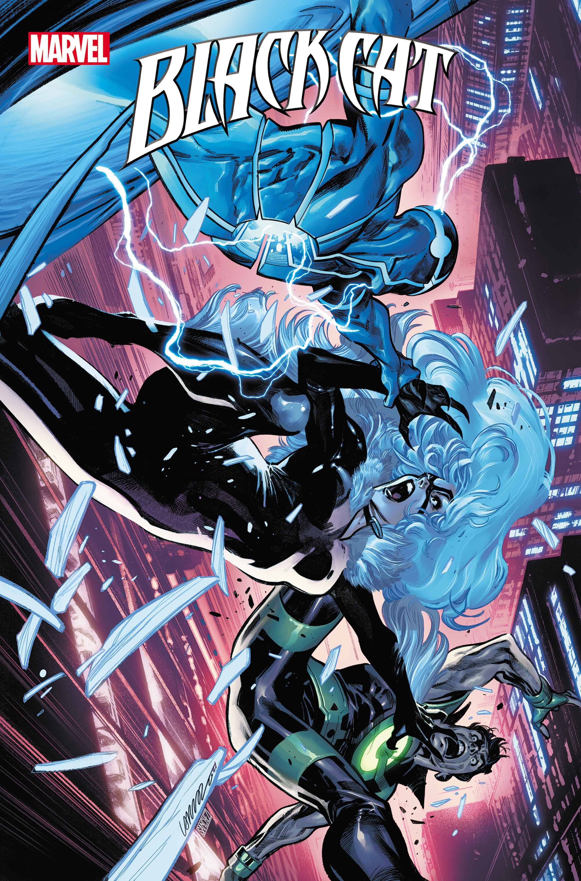 Black Cat #10 (STL198209)