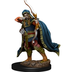 D&D Premium Painted Figure: W6 Elf Rogue Male