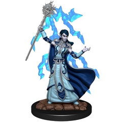 D&D Premium Painted Figure: W6 Elf Wizard Female