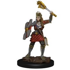 D&D Premium Painted Figure: W6 Human Cleric Female