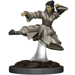 D&D Premium Painted Figure: W6 Human Monk Female