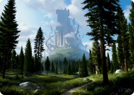 Forest (61/81) Art Card