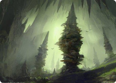 Forest (55/81) Art Card