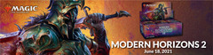 MTG Adventures in the Forgotten Realms Banner
