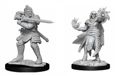 D&D Nolzur’s Marvelous Miniatures: Hobgoblin Fighter (Male) & Hobgoblin Wizard (Female) (W15) (90310)