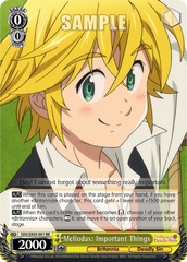 SDS/SX03-001 RR Meliodas: Important Things