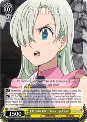 SDS/SX03-018 C Elizabeth: Backup Plan