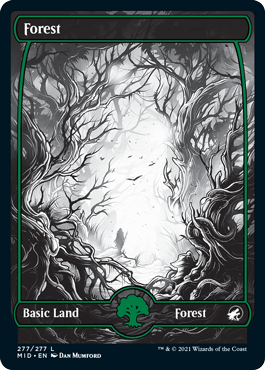 Forest (277) - Foil