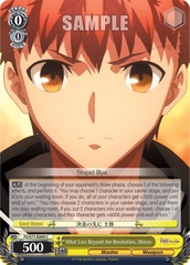 What Lies Beyond the Resolution, Shirou - FS/S77-E009 - C