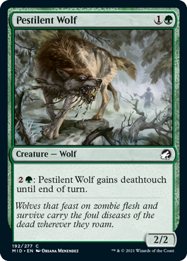 Pestilent Wolf