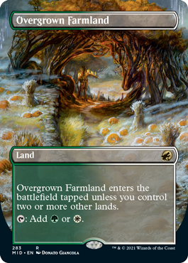 Overgrown Farmland - Foil - Borderless