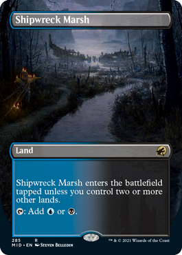 Shipwreck Marsh - Borderless