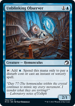 Unblinking Observer - Foil