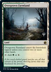 Overgrown Farmland - Promo Pack