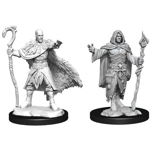 D&D Nolzurs Marvelous Miniatures: W14 Male Human Druid