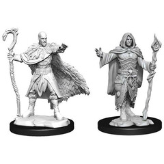 D&D Nolzur's Marvelous Miniatures: W14 Male Human Druid