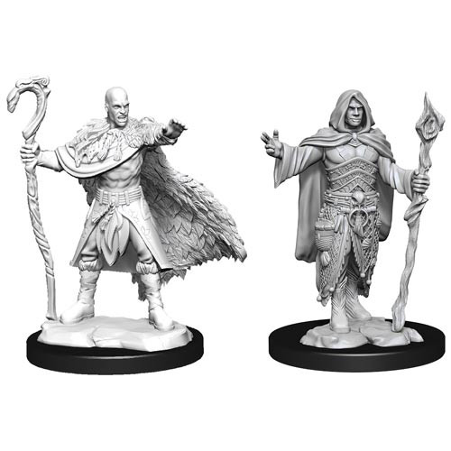D&D Nolzurs Marvelous Miniatures: W14 Male Human Druid