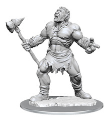 D&D Nolzur's Marvelous Miniatures: Cyclops