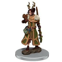 Dungeons & Dragons: Icons of the Realms Premium Figures W07 Female Human Druid