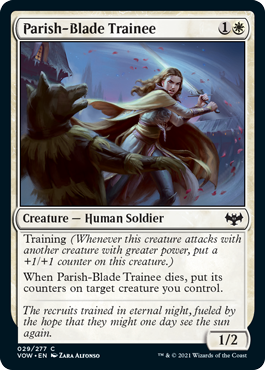 Parish-Blade Trainee - Foil