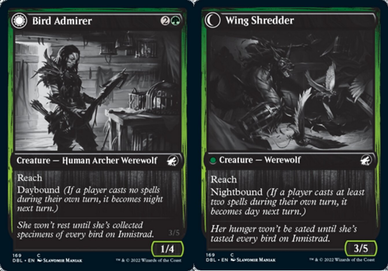 Bird Admirer // Wing Shredder - Foil