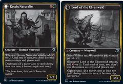 Kessig Naturalist // Lord of the Ulvenwald