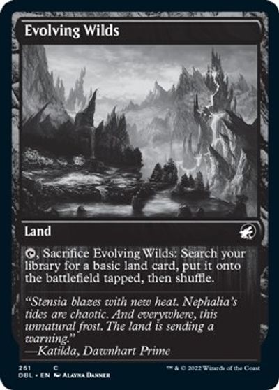 Evolving Wilds (261) - Foil