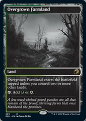 Overgrown Farmland - Foil