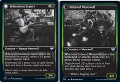 Infestation Expert - Foil