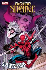Death Of Doctor Strange Spider Man #1 (STL206536)