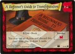 A Beginner's Guide to Transfiguration - 51/80 - Common