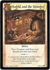 Hagrid and the Stranger - 89/116 - Common