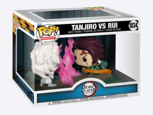 #1034 Demon Slayer - Tanjiro Vs Rui