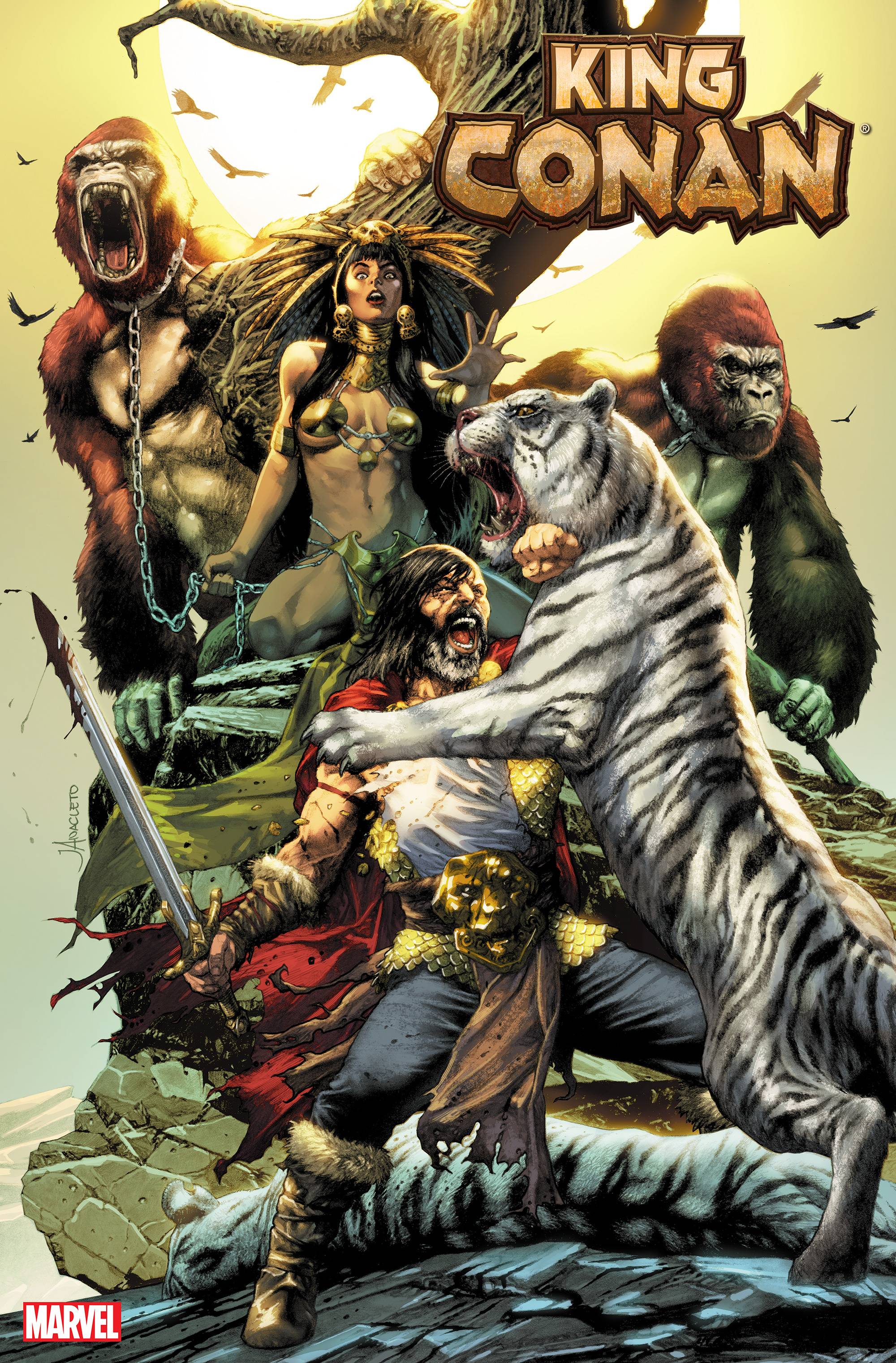 King Conan #3 (Of 6) Anacleto Var (STL215373)