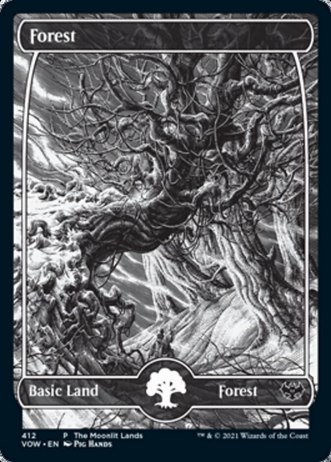 Forest - The Moonlit Lands - Foil Etched