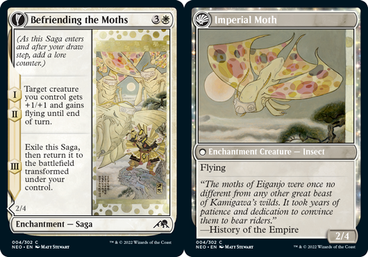 Befriending the Moths // Imperial Moth